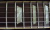 SG Fretboard.jpg