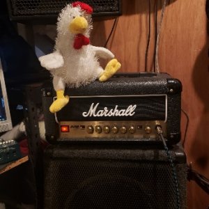 chicken marshall 56.jpg